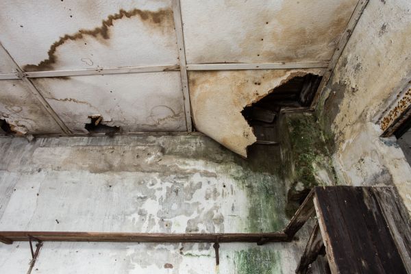 Water Damage Service in Laurel