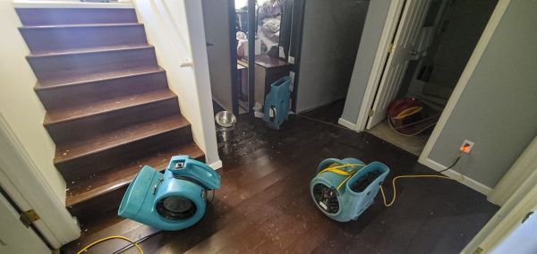 Water Damage Remediation in Laurel