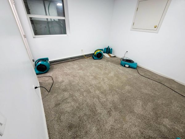 Flood Restoration Service in Laurel