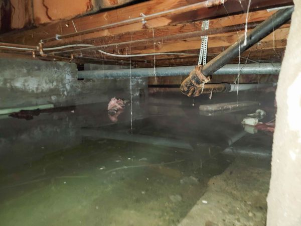 Water Mitigation Service in Laurel